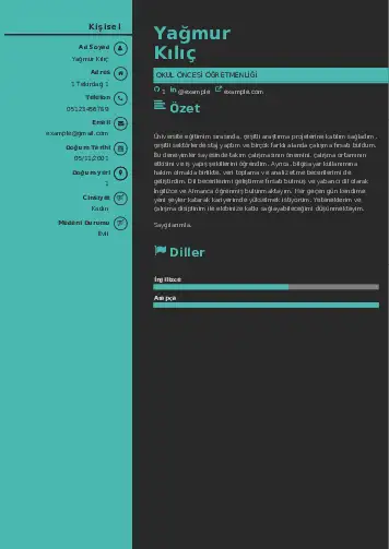 Okul Öncesi Öğretmeni Öğretmenliği Cv Örnekleri cv indir